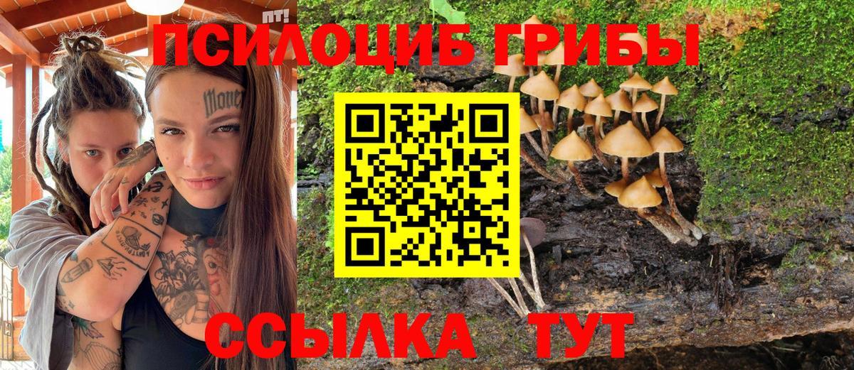 Псилоцибиновые грибы Magic Shrooms Куйбышев